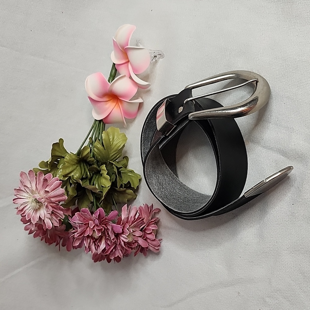 EUC Black and Silver Belt